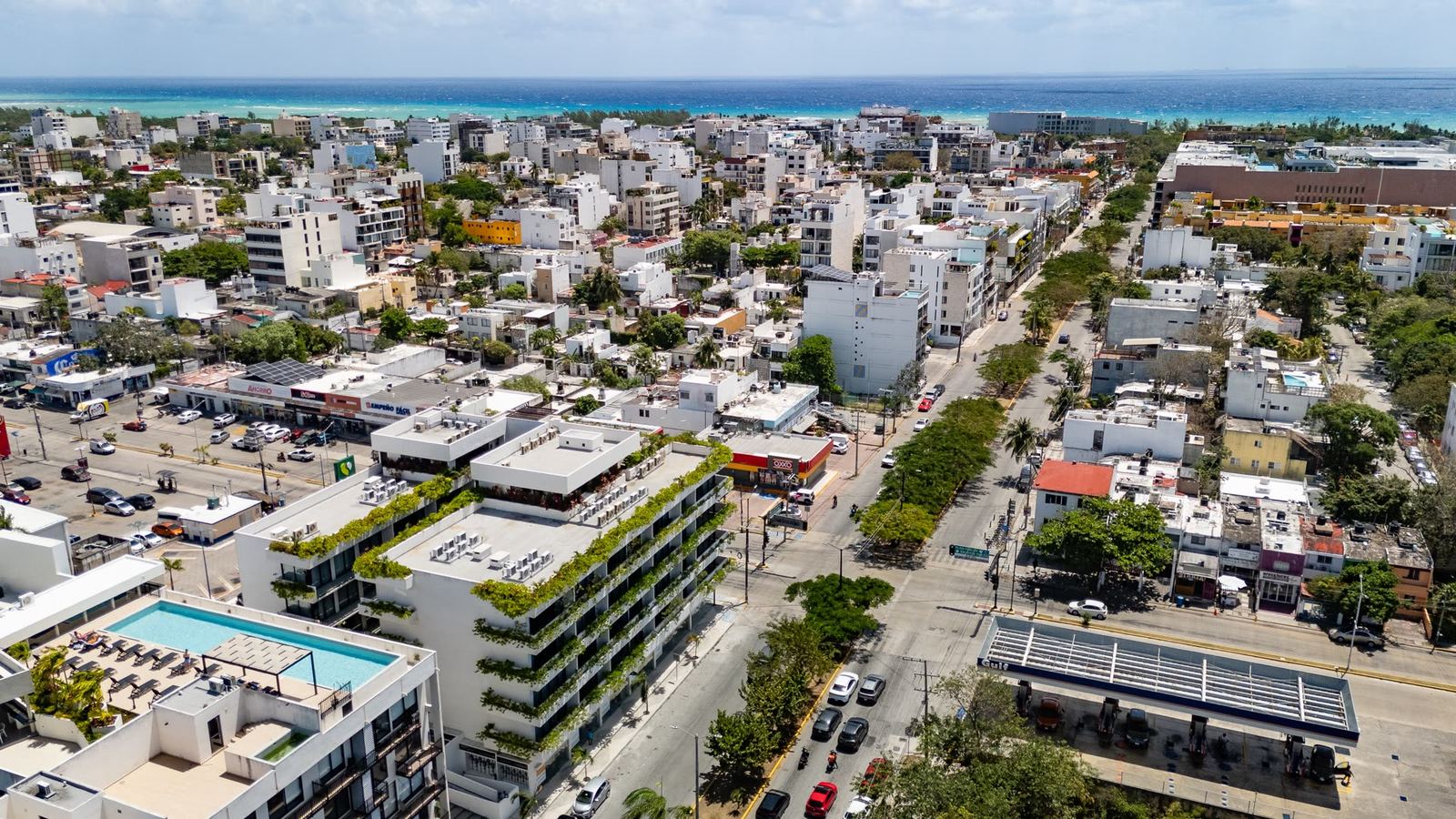 Sensai Downtown, foto 2 en Playa del Carmen