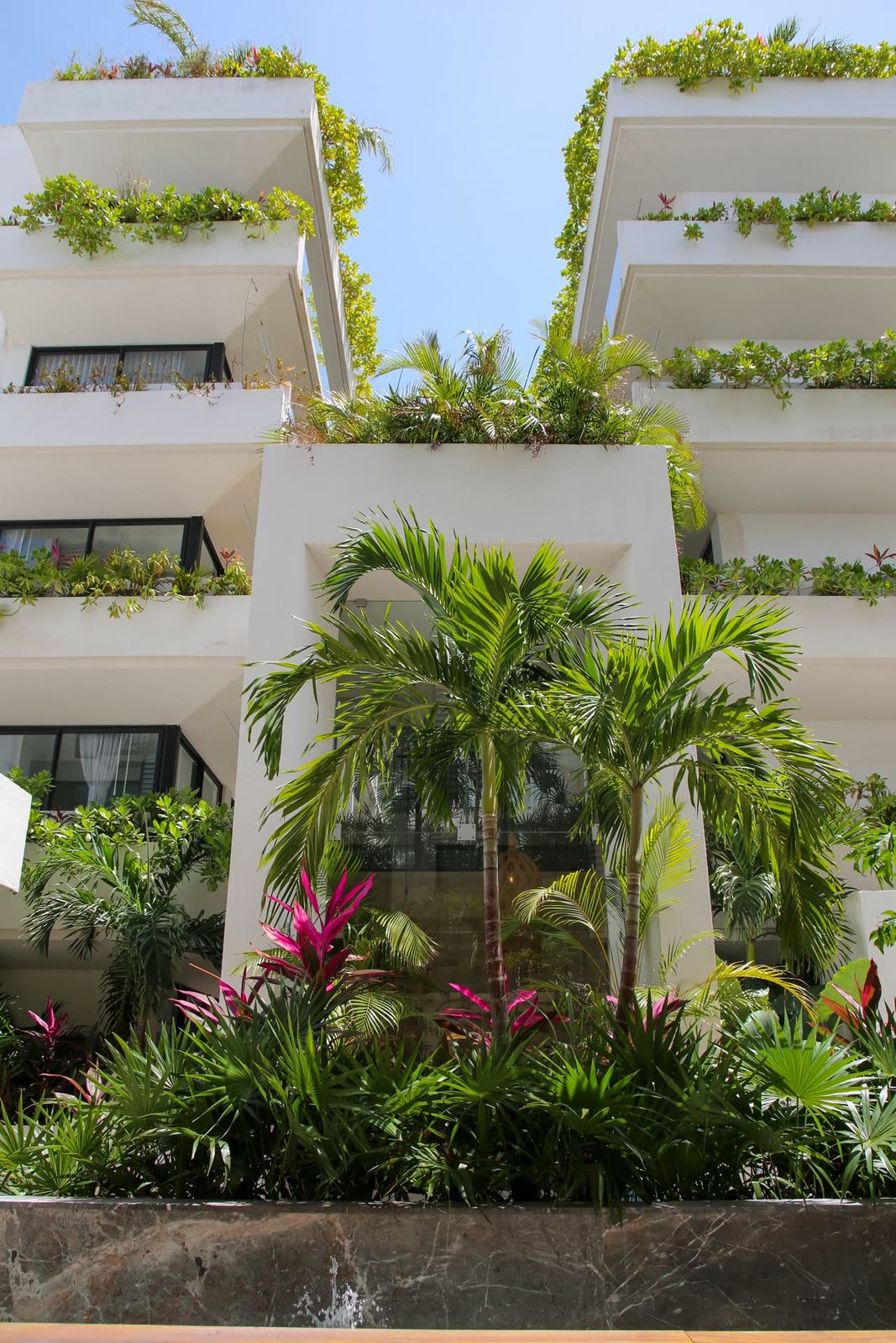 Sensai Downtown, foto 5 en Playa del Carmen