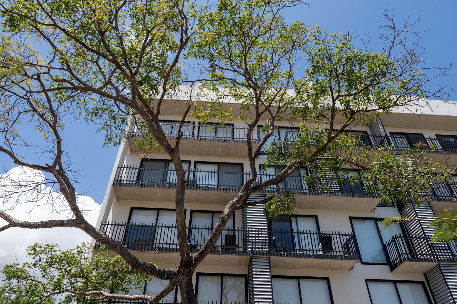 Urban Towers, foto 22 en Playa del Carmen